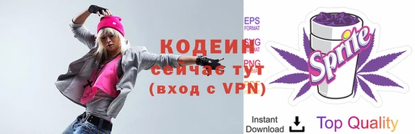 твердый Володарск