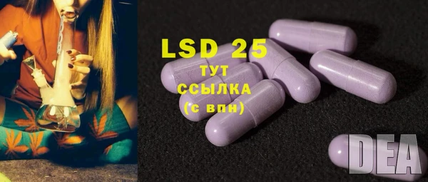 твердый Володарск