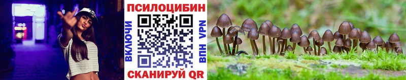 цены наркотик  площадка клад  Псилоцибиновые грибы мухоморы  Нефтеюганск 