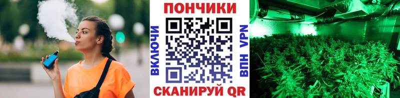 Бошки марихуана конопля  Нефтеюганск 